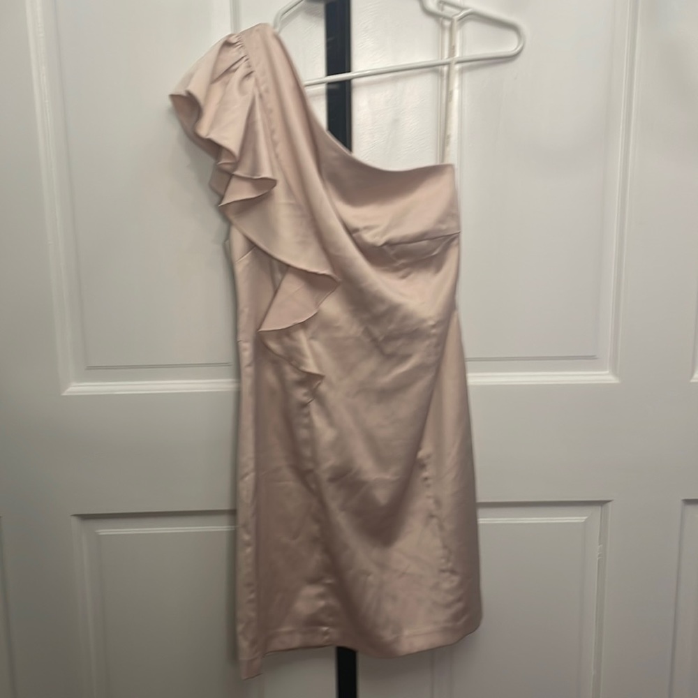 Forever21- Formal pink satin One shoulder dress